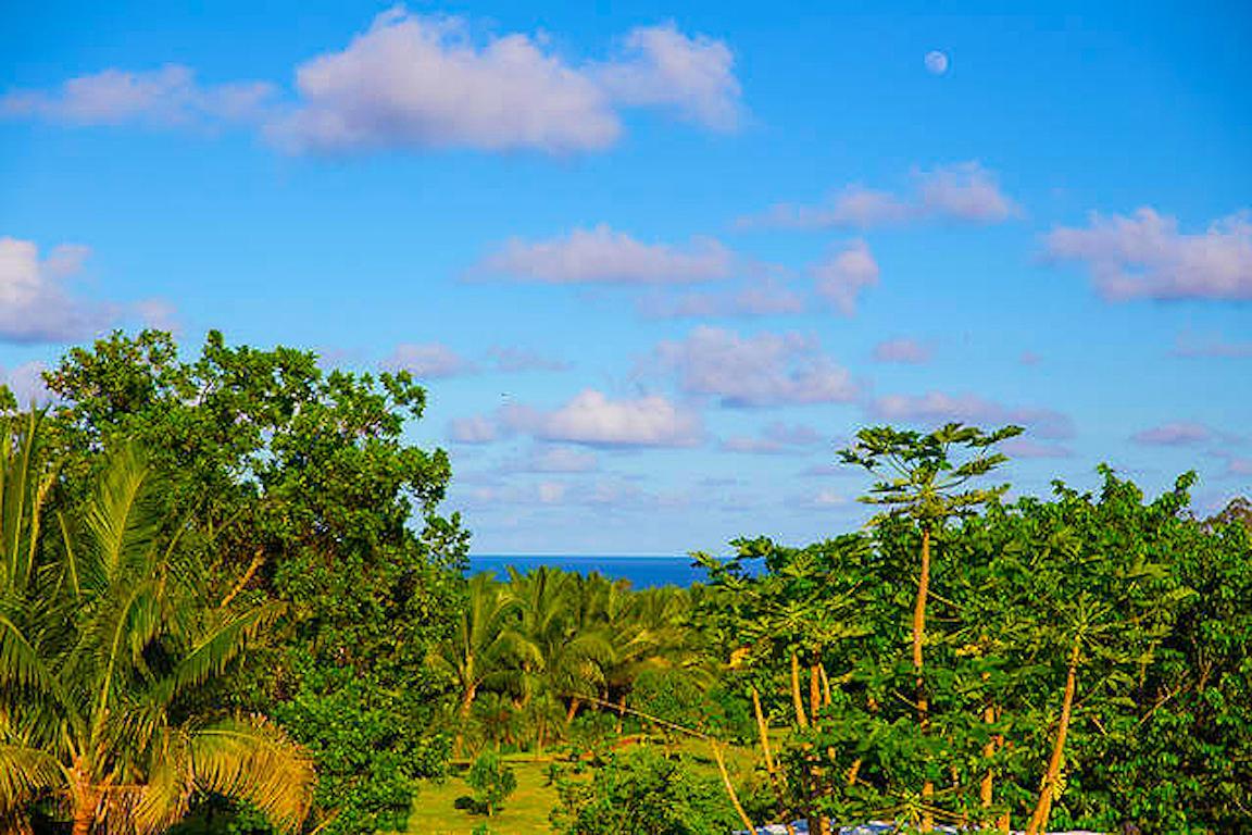 Kirpal Meditation And Ecological Center Pahoa Екстериор снимка