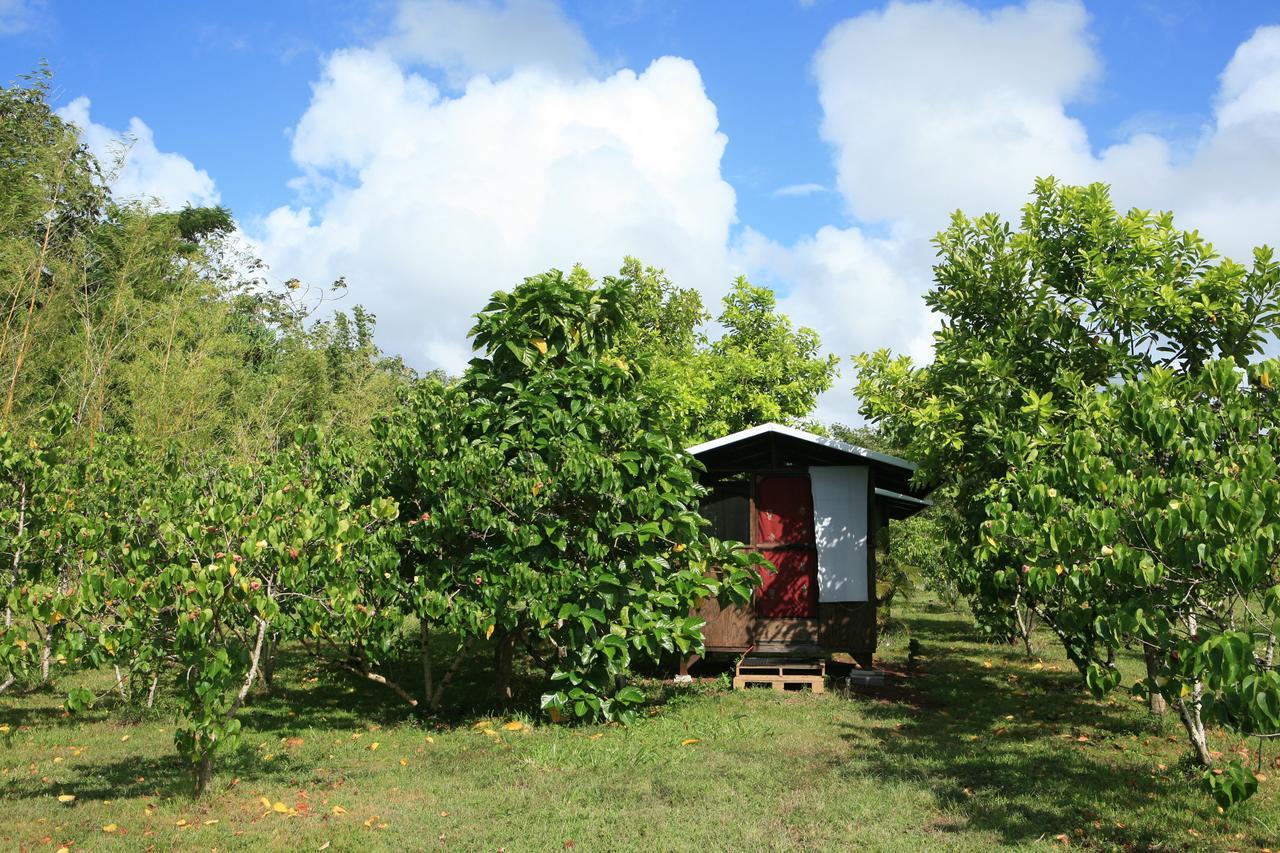 Kirpal Meditation And Ecological Center Pahoa Екстериор снимка