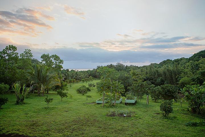 Kirpal Meditation And Ecological Center Pahoa Екстериор снимка