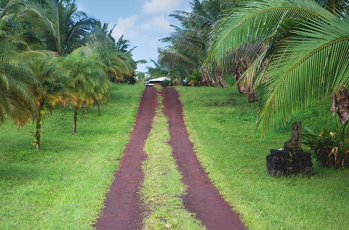 Kirpal Meditation And Ecological Center Pahoa Екстериор снимка