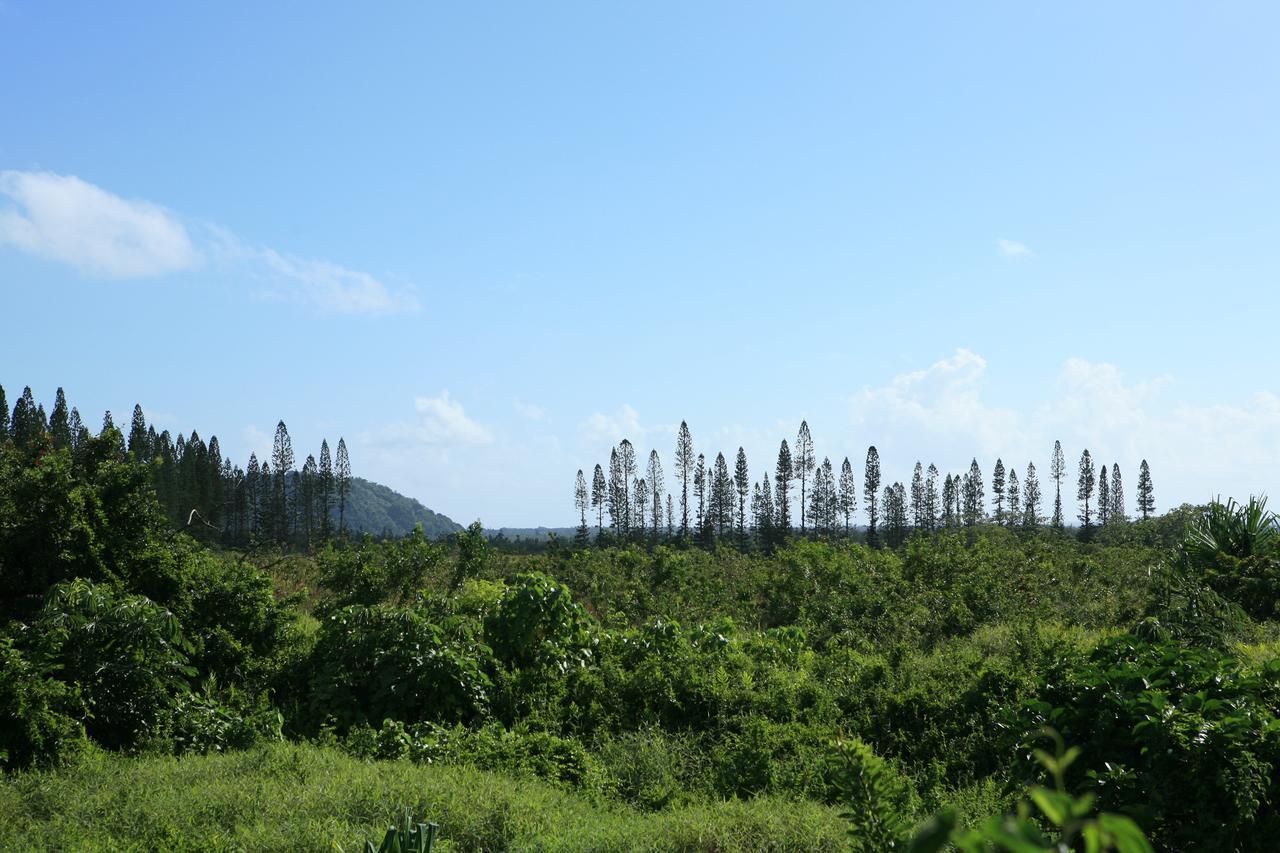 Kirpal Meditation And Ecological Center Pahoa Екстериор снимка