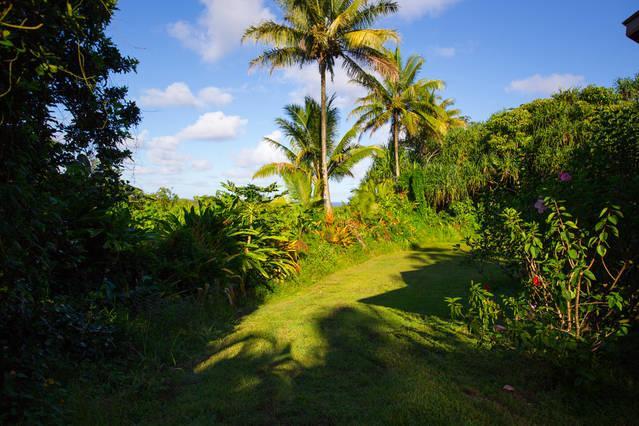 Kirpal Meditation And Ecological Center Pahoa Екстериор снимка