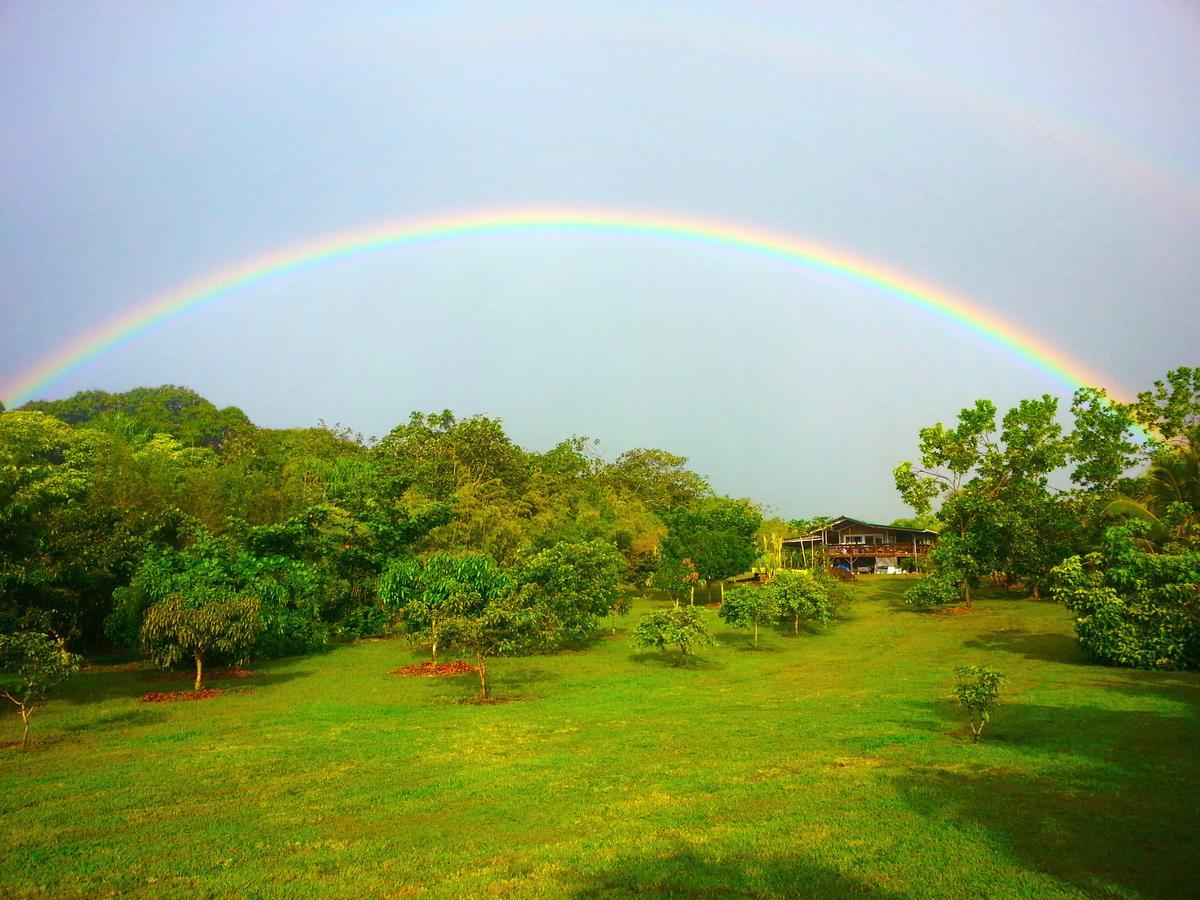 Kirpal Meditation And Ecological Center Pahoa Екстериор снимка