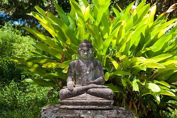 Kirpal Meditation And Ecological Center Pahoa Екстериор снимка